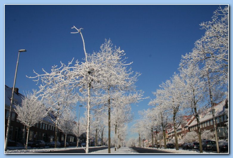 Arnhem Snow 184